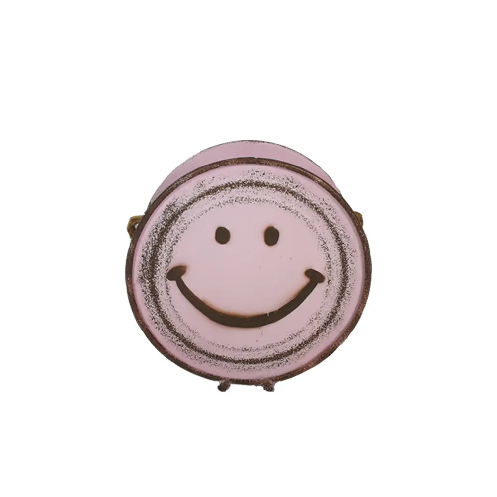 Smile Pink Wall Hanging Metal Flower Pot Decoration Meaty Plant Home Decoration  Round Bucket