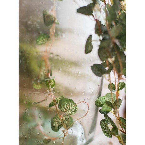 RusticReach Begonia Leaf Hanging Vine 27 Long