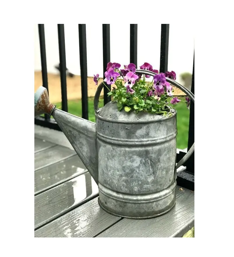 Garden SuppliesGalvanized Indoor And Outdoor Watering Can Hammered Design Garden Water Can Garden Plant Growth Supplies