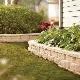 Pavestone 4 in. H x 11.63 in. W x 6.75 in. L Light Almond Retaining Wall Block (144 Pieces 46.6 Sq. ft. Pallet) 81180