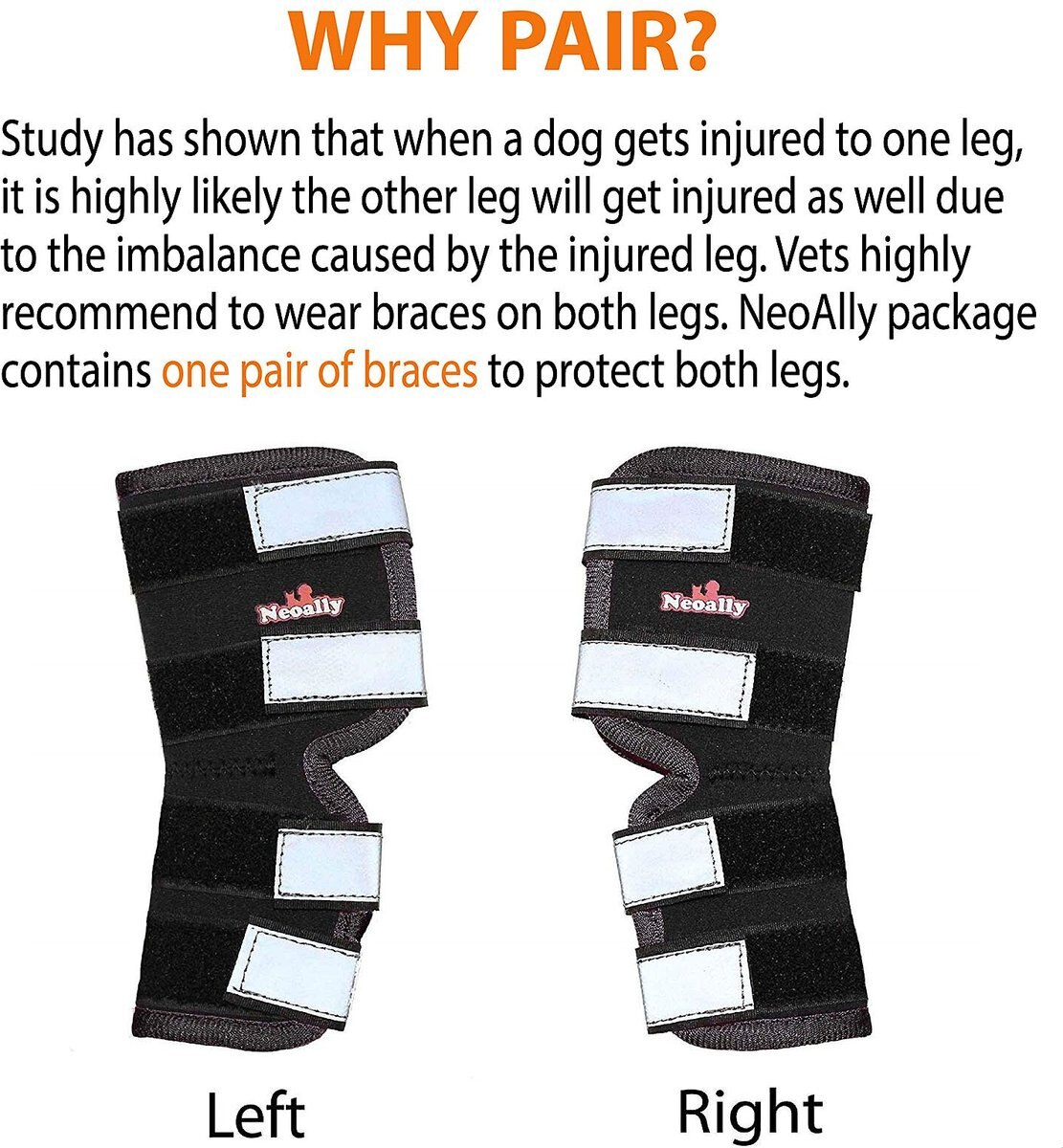 NeoAlly Rear Leg Dog Brace