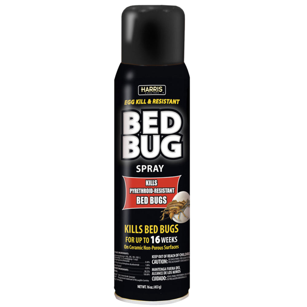 BED BUG BLK AEROSOL 16OZ