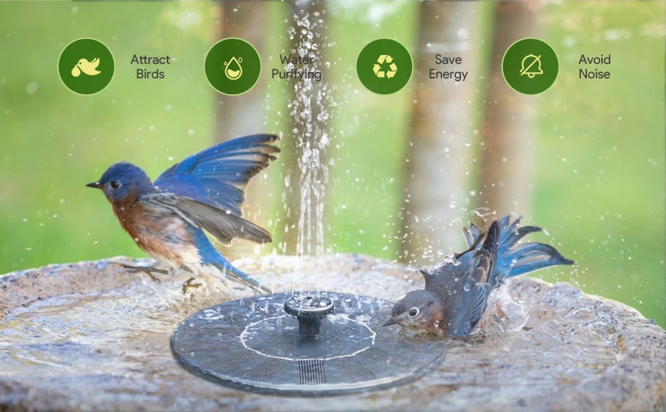 LAST DAY 60% OFFSolar-Powered Bird Fountain Kit