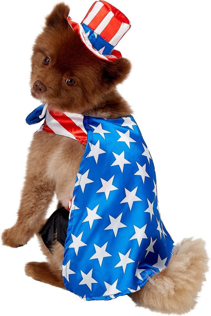 Rubie's Costume Company Uncle Sam Dog Costume