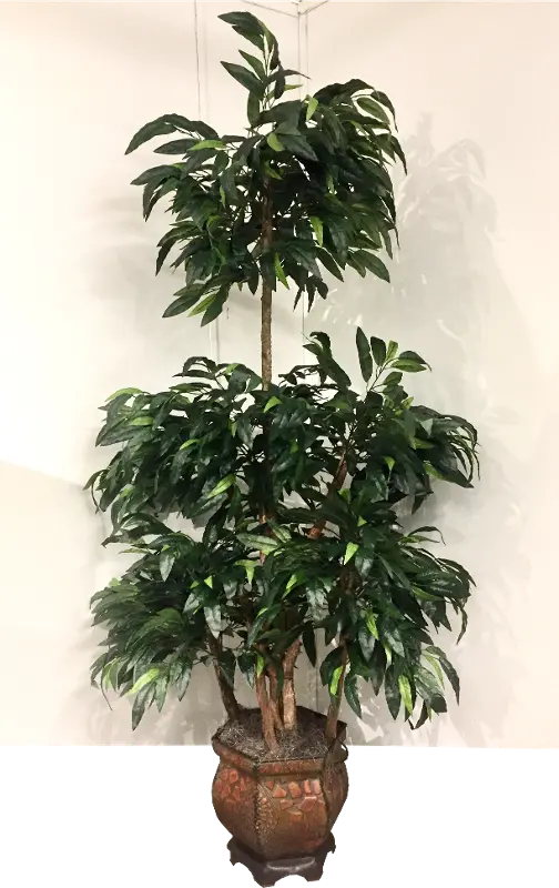 8 Foot Green Mango Ladder Tree Arrangement