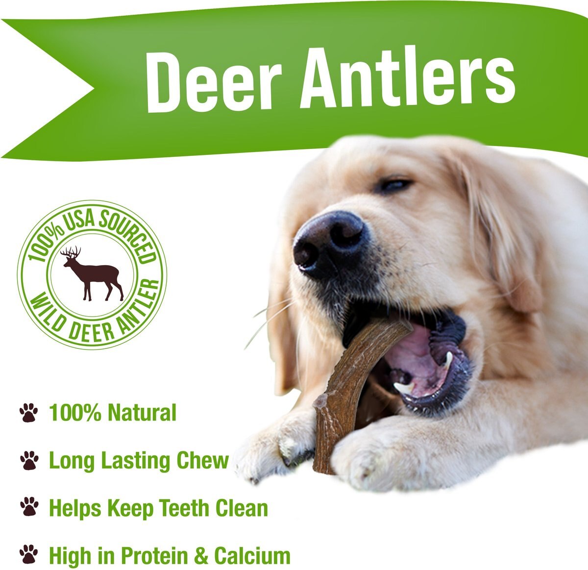 Buck Bone Organics Whole Deer Antlers Dog Chews