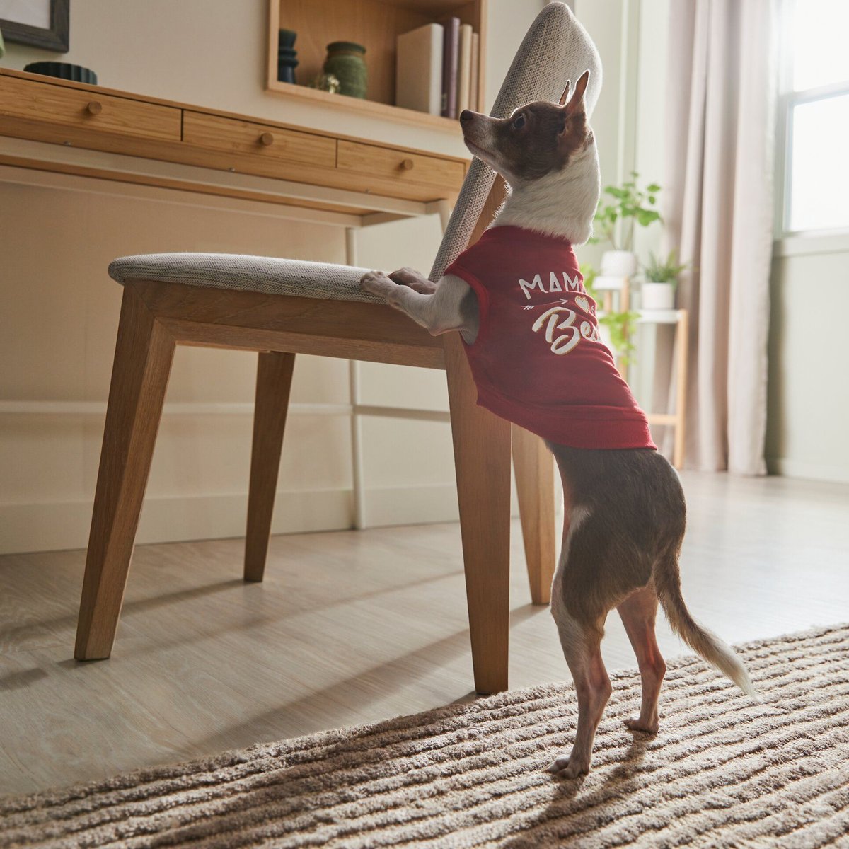 Frisco Mama's Bestie Dog and Cat T-Shirt