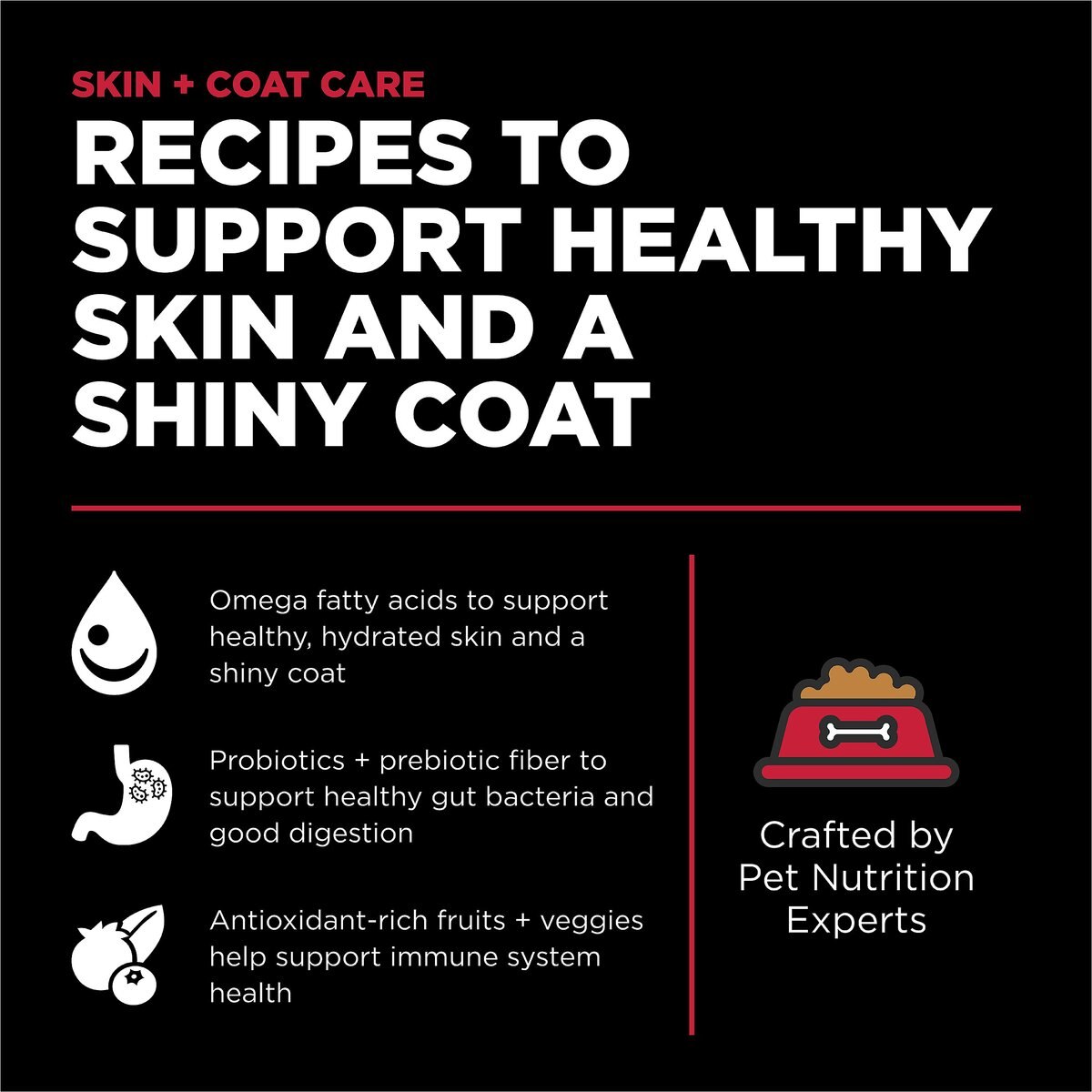 Go! Solutions Skin + Coat Care Lamb Meal Recipe Dry Dog Food