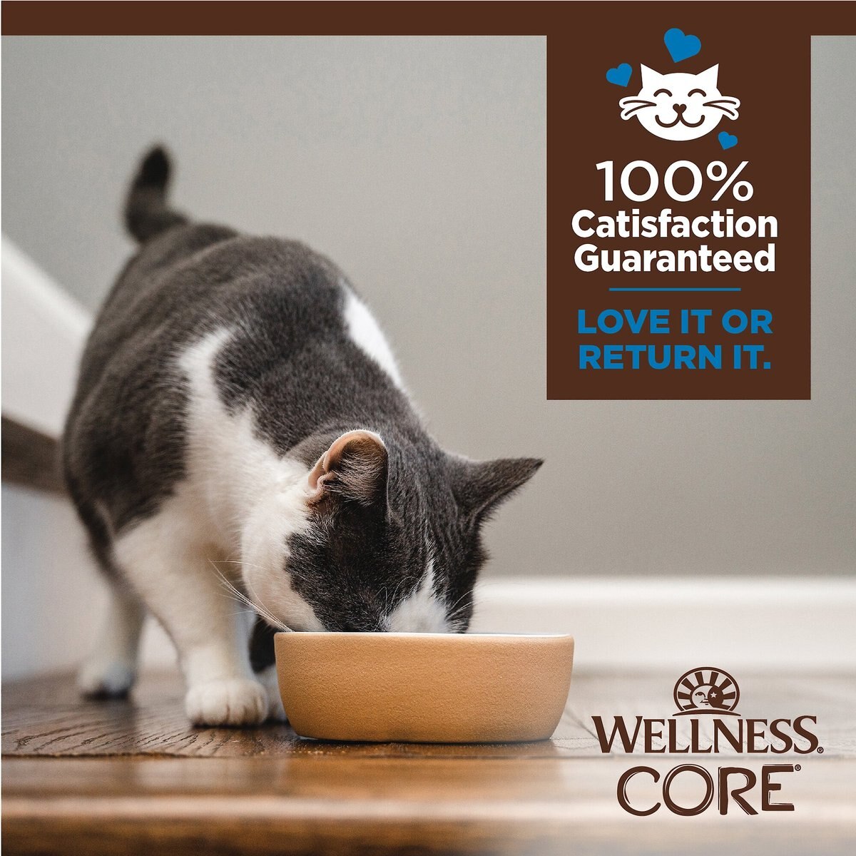 Wellness CORE Tiny Tasters Tuna and Shrimp Grain-Free Flaked Wet Cat Food， 1.75-oz pouch， case of 12