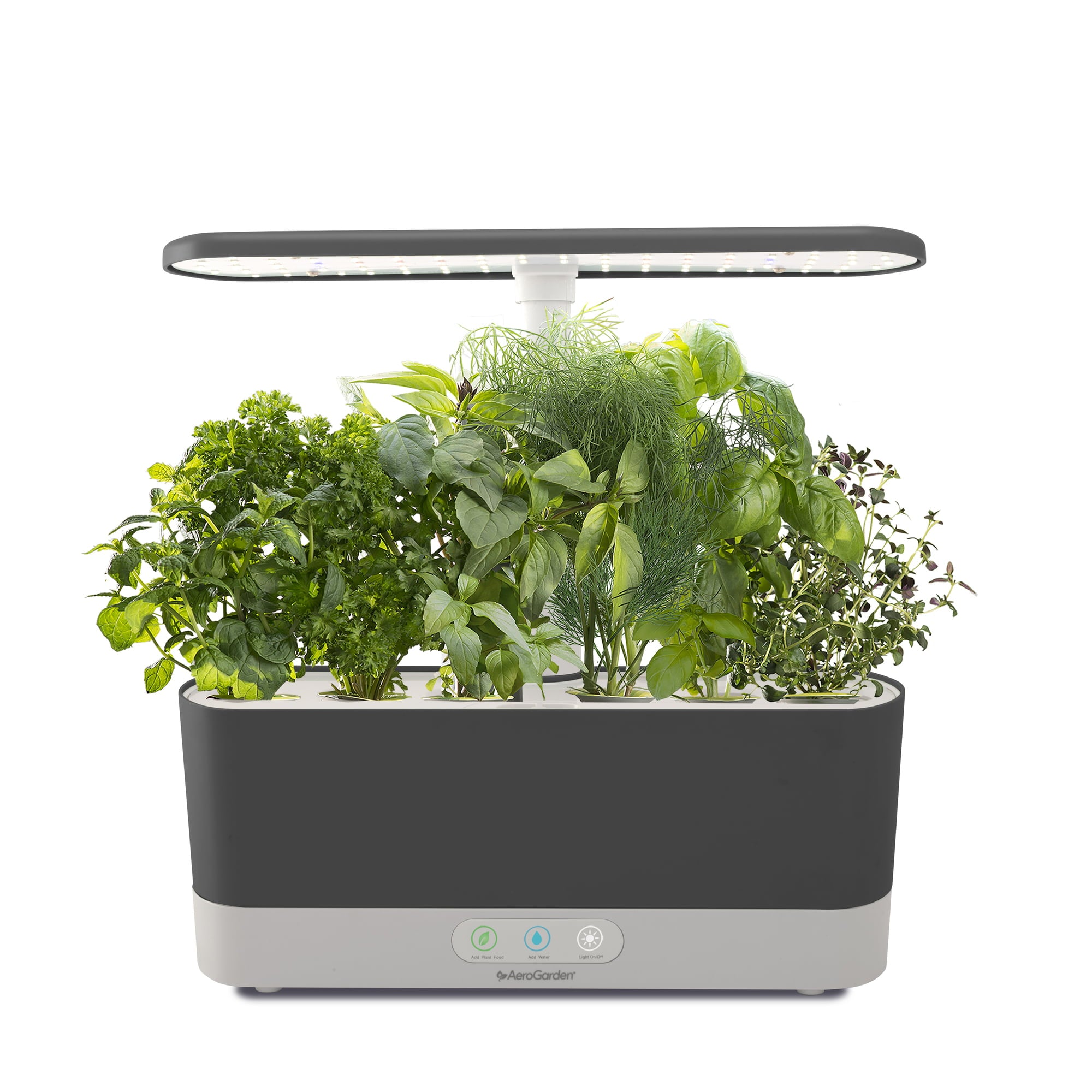 AeroGarden Harvest Slim with Gourmet Herb Seed Pod Kit， Black