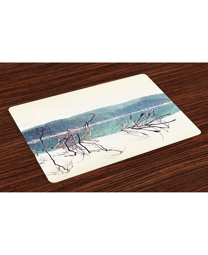 Ambesonne Driftwood Place Mats Set of 4