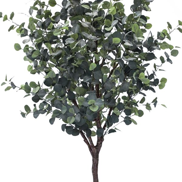 7ft Frosted Green Artificial Silver Dollar Eucalyptus Tree Plant in Black Pot