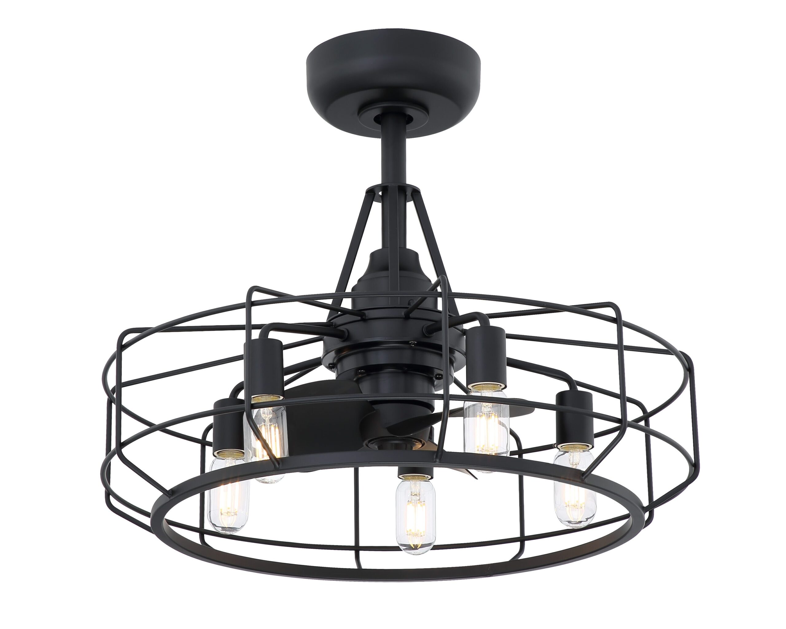 Fanimation Studio Collection Archive 24-in Black LED Indoor/Outdoor Cage Ceiling Fan with Light Remote (3-Blade)