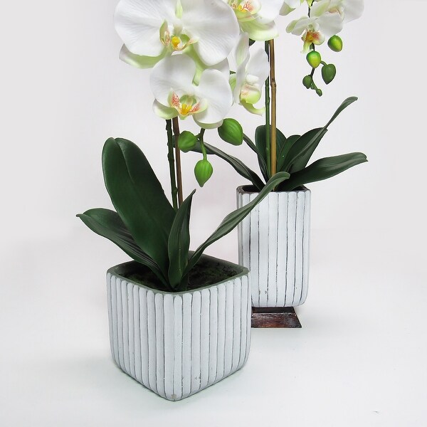 Cream White Artificial Phalaenopsis Orchid Flower Arrangement in Square Embossed Stripe Ceramic Pot 23in