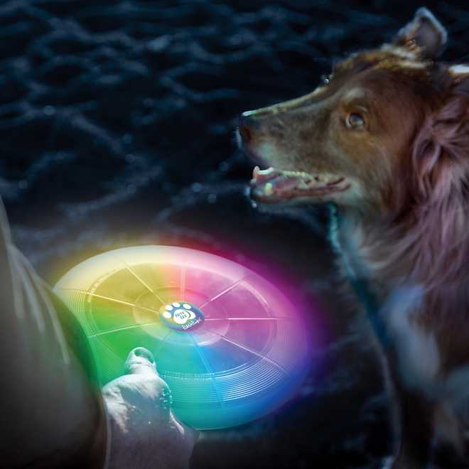 Nite Ize Flashflight Dog Discuit LED Flying Disc