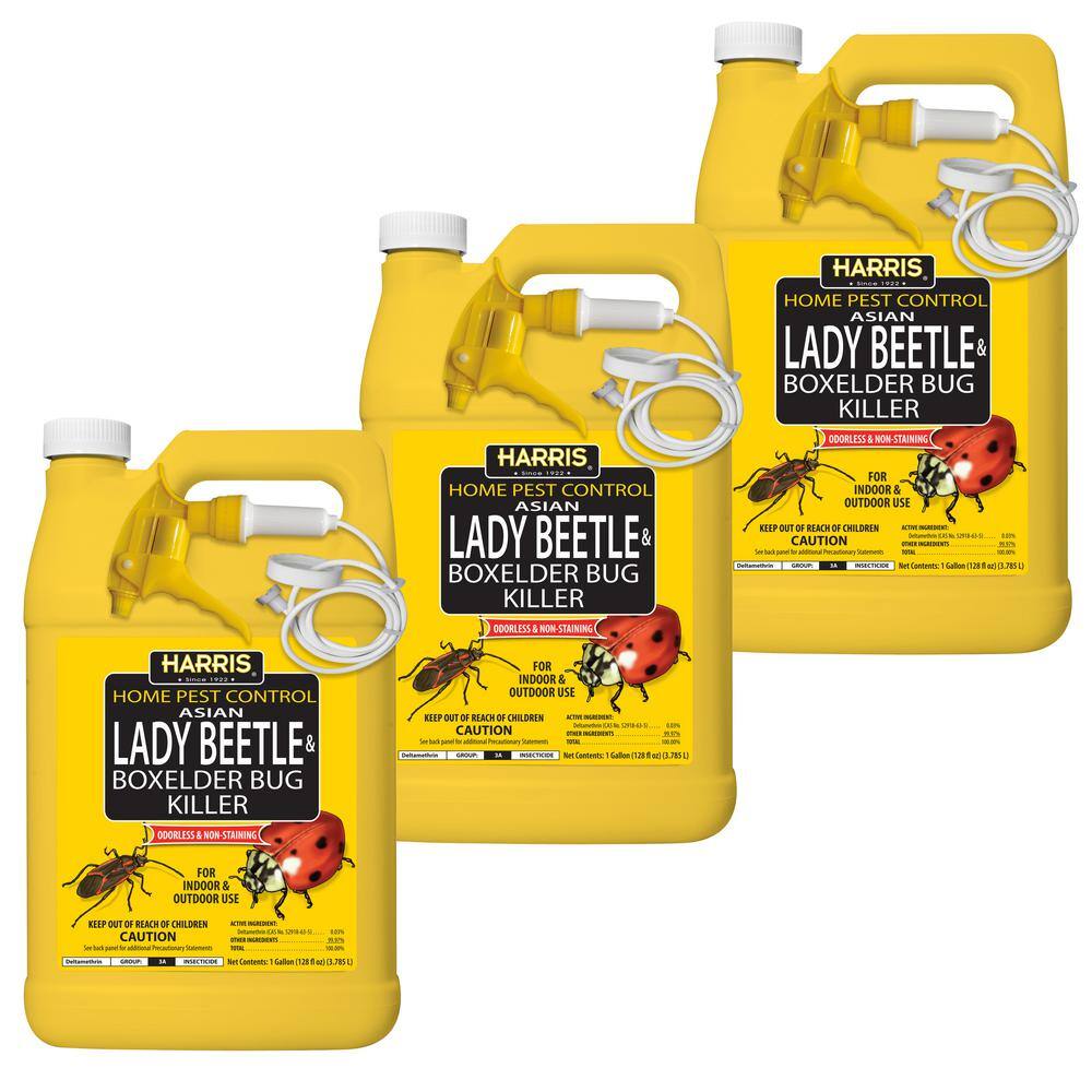 Harris 1 Gal. Asian Lady Beetle and Box Elder Bug Killer (3-Pack) 3HBXA-128