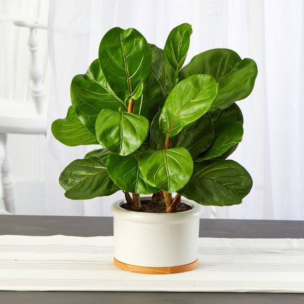 Nearly Natural 15 in Fiddle Leaf Artificial Tree In White Planter