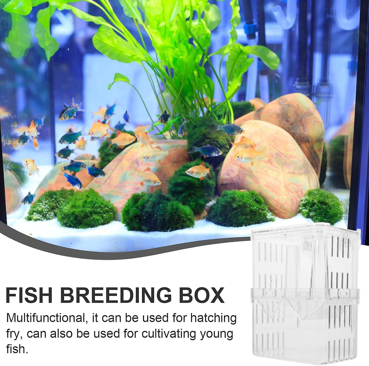 2pcs Box Juvenile Hatching Box Brine Shrimp Eggs for Hatching Tank Hatchery Incubator Fish Breeder F