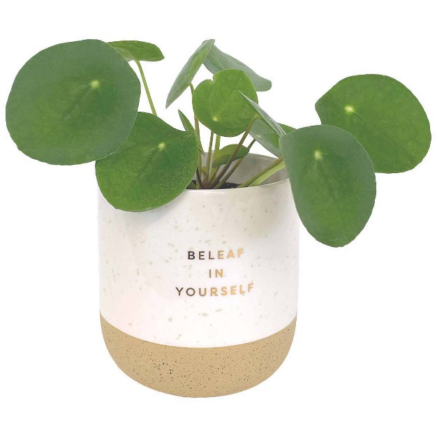 Paper Riot Co Decorative Planter Ivory