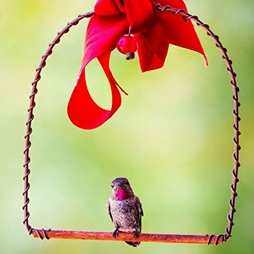 Copper Hummingbirds Swing - Perfect for Nectar Feeder， Hanger， and Stand