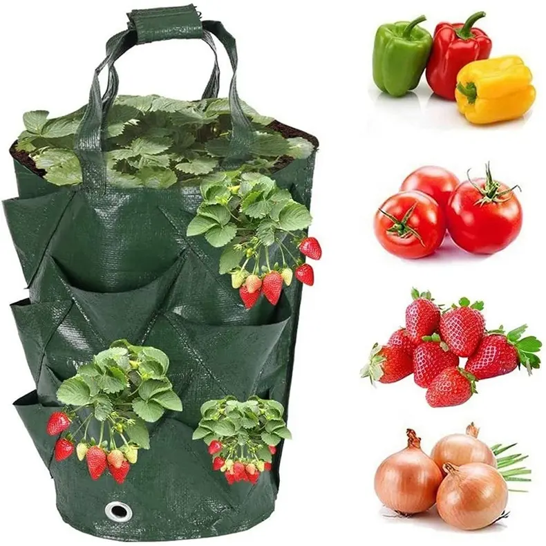 3 Colors PE Multi function Hanging Tomato Grow Bag Upside down Planter Breathable Strawberry Vegetable Flower Plant Grow Bag