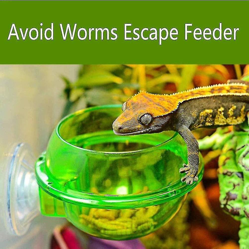 Reptile Feeder Worm Live Feed Container Chameleon Bowl Water Tray Gecko Ledge Sucker Feeder