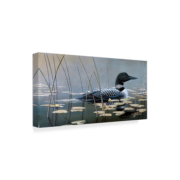 Trademark Fine Art wilhelm Goebel x27 loon In Reeds x27 Canvas Art