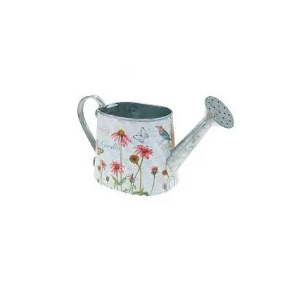 Butterfly printed White Watering Canes Iron Watering Can For Indoor Outdoor Garden Flower Garden Supplies Water Planting Supply