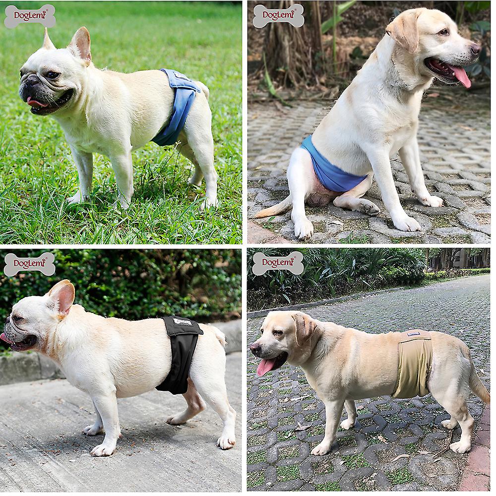 Male Dog Belly Band Pet Diaper Washable Wrap Waterproof Toilet Training Dog Physiological Pant Beige Xs