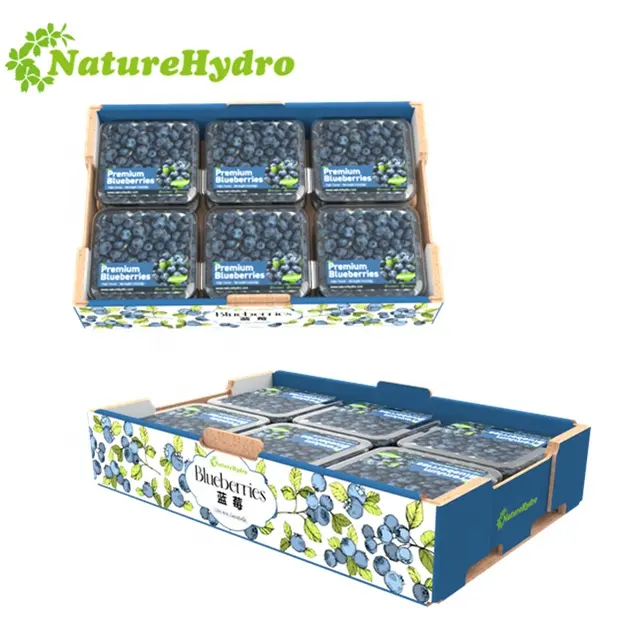 Manufacturer Supplies Tray Stackable Blueberry Plastic Box Clear Box for Blueberry