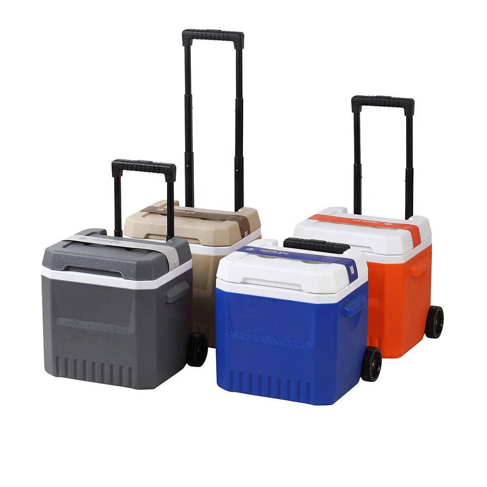 Hot Sale Insulation Promotional Outdoor Camping Plastic OEM Ice Chest 18L Neutral Carton Cooler Box Fish With Handle And Wheels