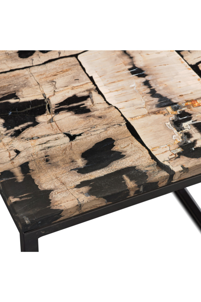 Rectangular Petrified Wood Coffee Table  Andrew Martin Luca   Industrial   Coffee Tables   by Oroa   Distinctive Furniture  Houzz