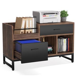 BYBLIGHT Bernise Rustic Brown File Cabinet with 2-Drawers Lateral Filing Cabinets Printer Stand with Letter SizeA4 Size Drawer BB-U0031GX