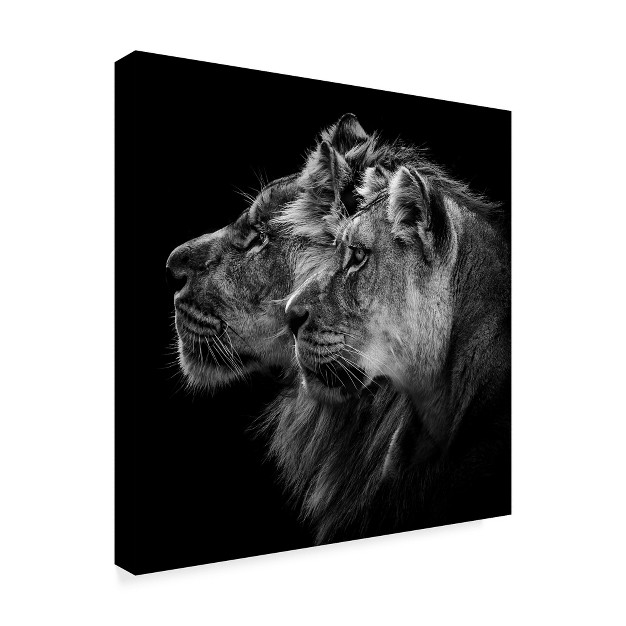 Trademark Fine Art laurent Lothare Dambreville x27 lion And Lioness Portrait x27 Canvas Art