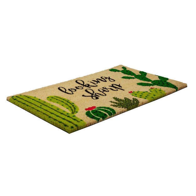 X 2 x27 4 quot Looking Sharp Cactus Indoor outdoor Doormat Green black Entryways