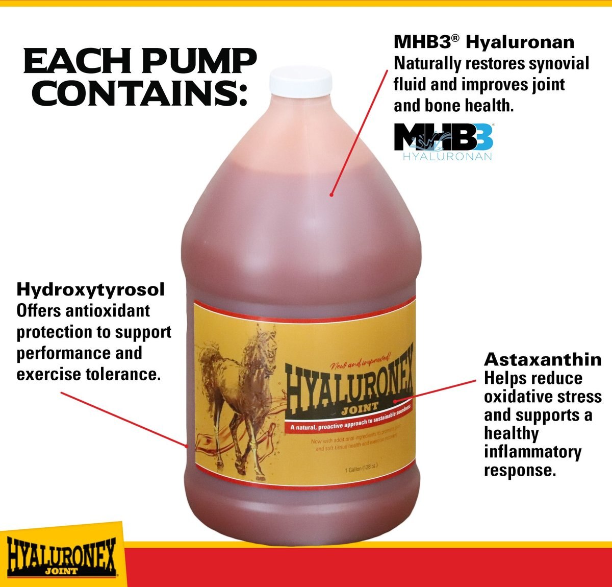 Hyaluronex Joint Support Liquid Horse Supplement