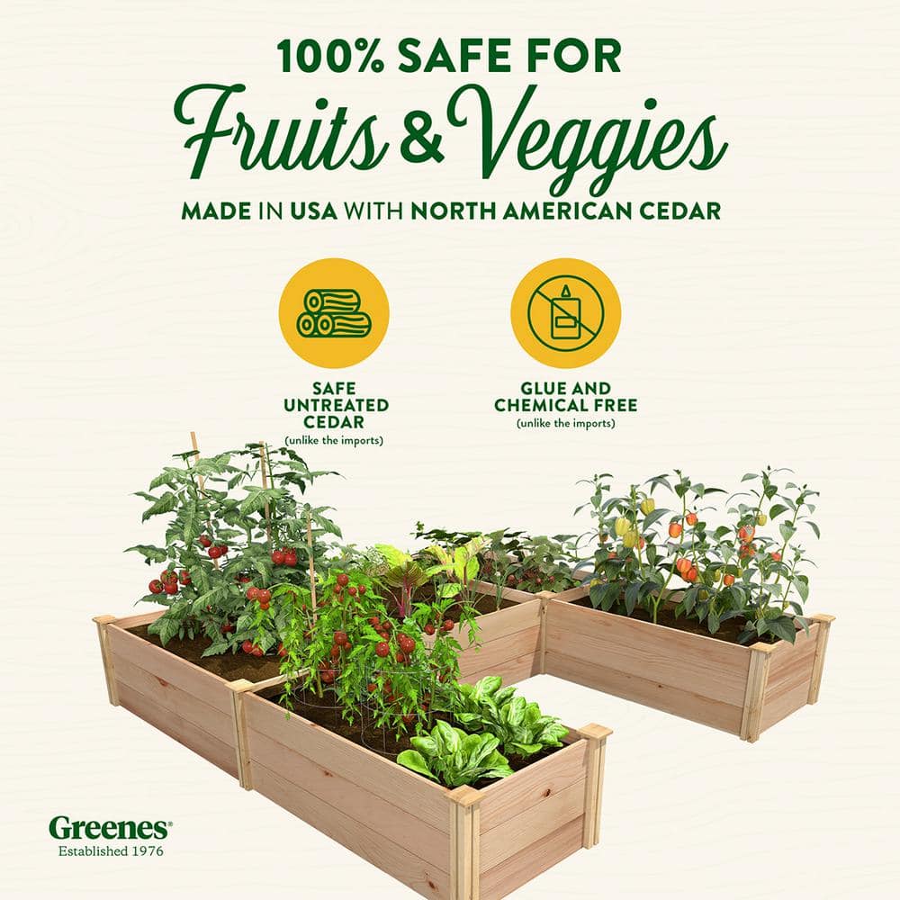 Greenes Fence 8 ft. x 8 ft. x 16.5 in. Premium Cedar U-Shaped Raised Garden Bed RCUSB