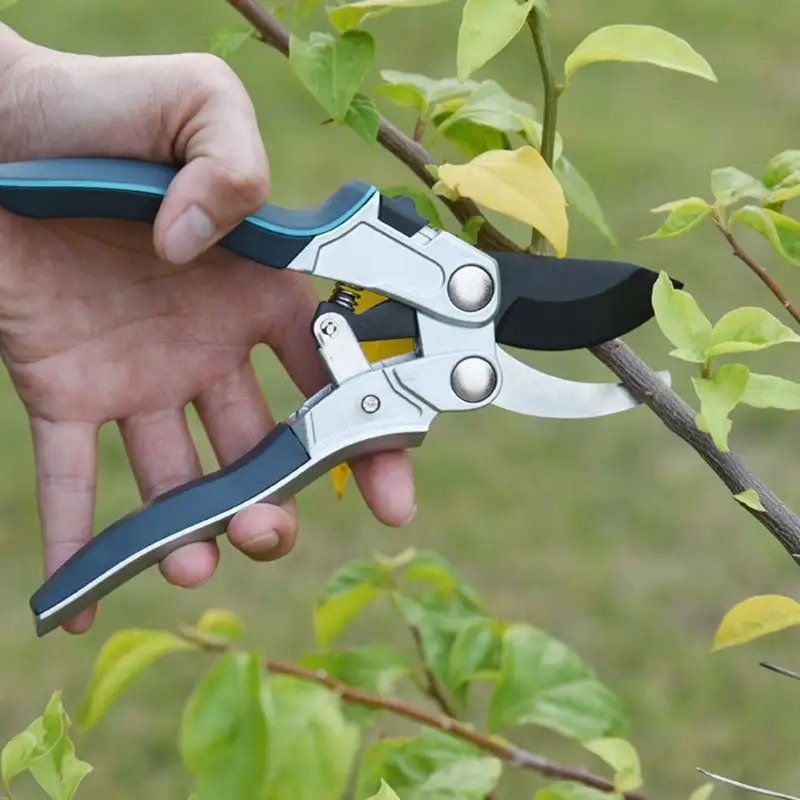 Maintaining Hand Pruner Garden Tools Heavy Duty Pruner Garden Pruner