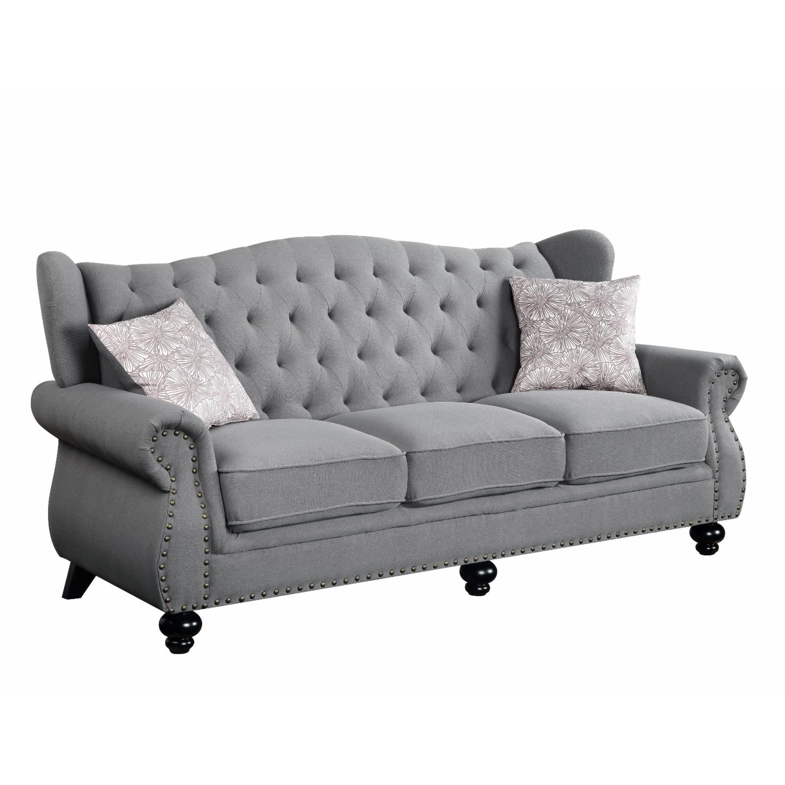 Acme Furniture Hannes Sofa with 2 Pillows