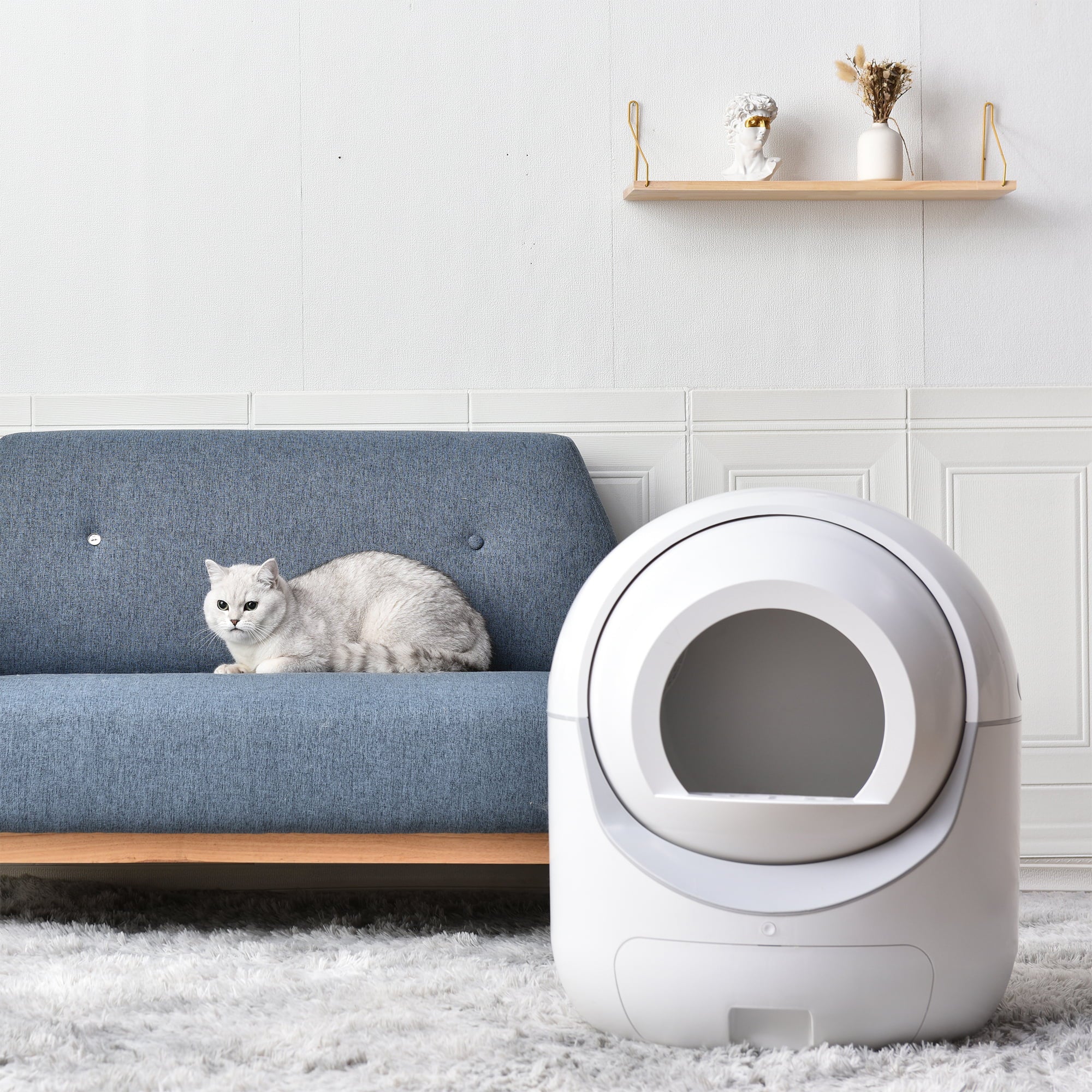 Takoyi Smart Automatic Cat Litter Box，Automatic Scooping and Odor Removal， App Control， Support 5Gand2.4G WiFi for Multiple Cats， Double Odor Removal