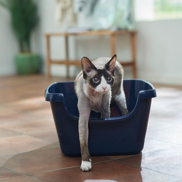 Frisco High Sided Cat Litter Box， Medium 18-in