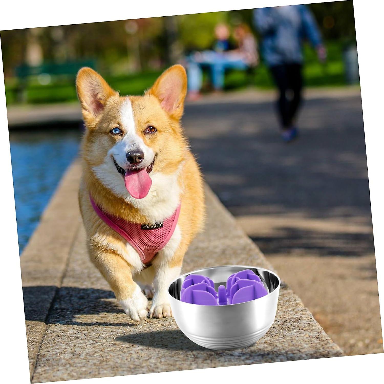 slow feeder slowing dog bowl dog accessories puppy bowls convenient pet food bowl slow feeding bowl