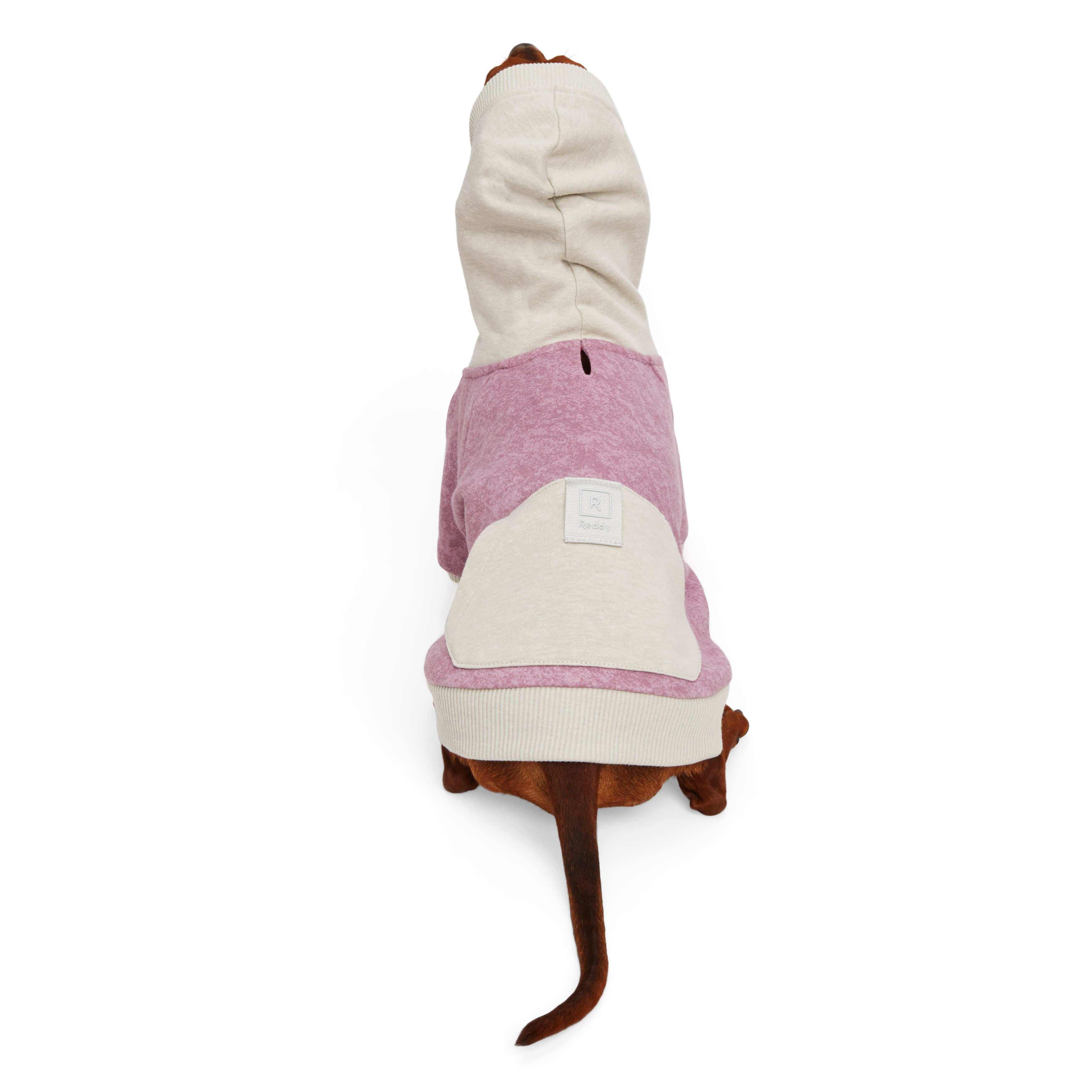 Reddy Mauve and Grey Washed Dog Hoodie， X-Small