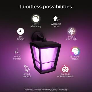 Philips Hue Econic Outdoor Smart Color Changing Wall Down Light Lantern with Integrated LED (1-Pack) 1744030V7