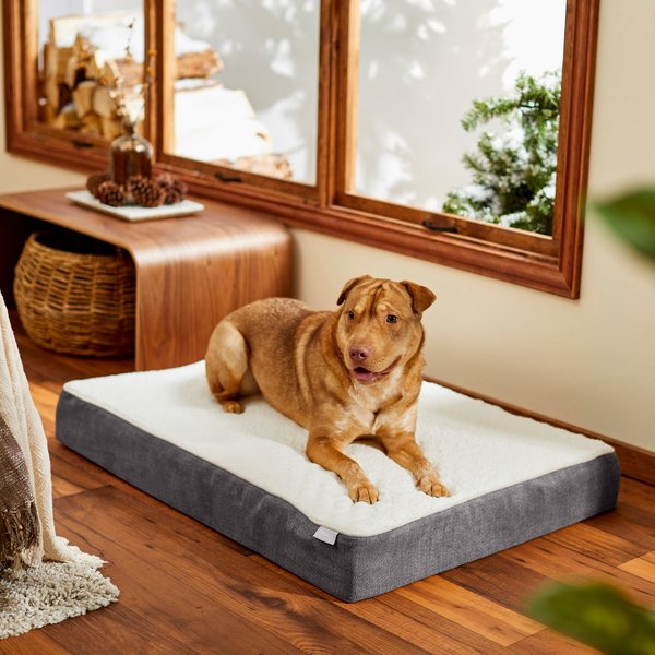 Frisco Orthopedic Pillow Cat and Dog Bed