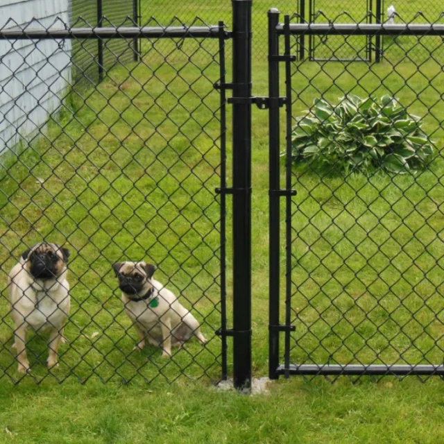 hot dipped galvanized chain link fences