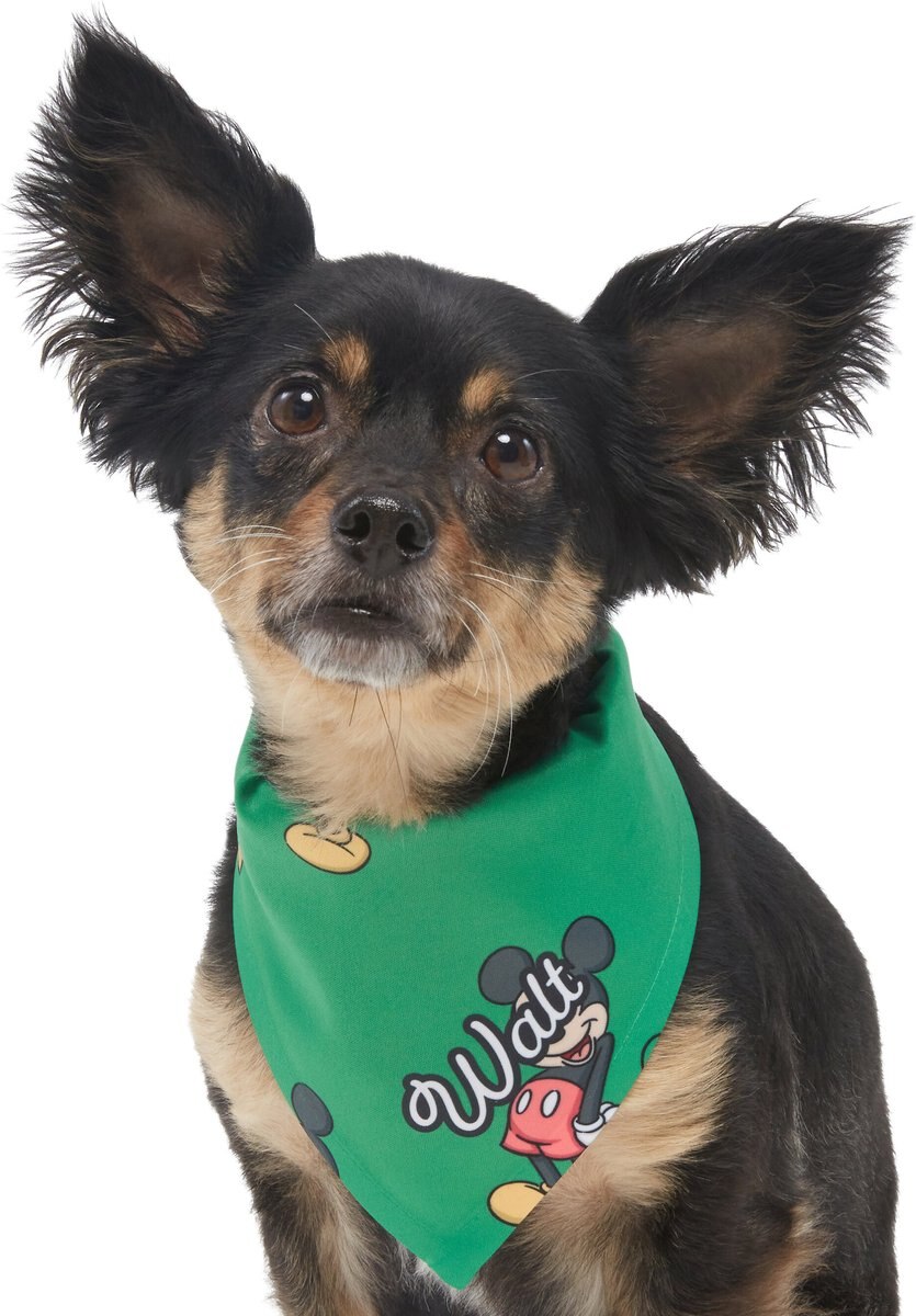 Disney Mickey Mouse Golden Days Personalized Dog and Cat Bandana