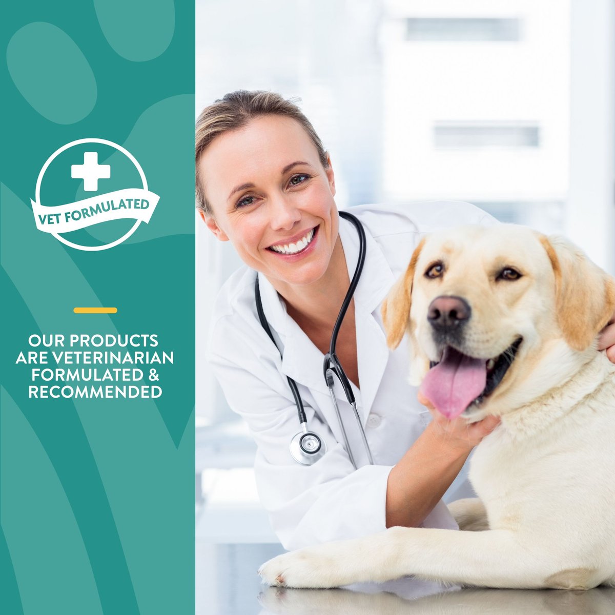 NaturVet Quiet Moments Chewable Tablets Calming Supplement for Dogs