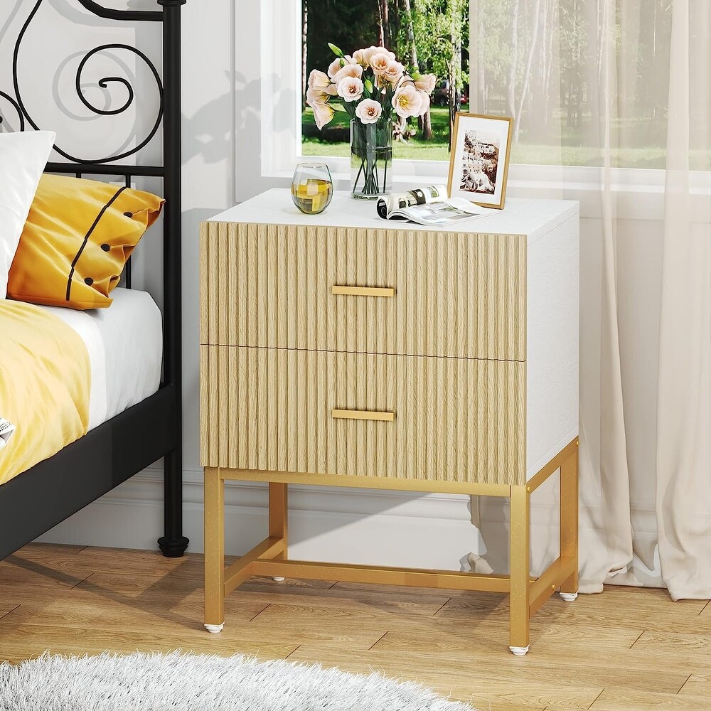 2 Drawer Nightstand  Modern Night Stands Bed Side Table