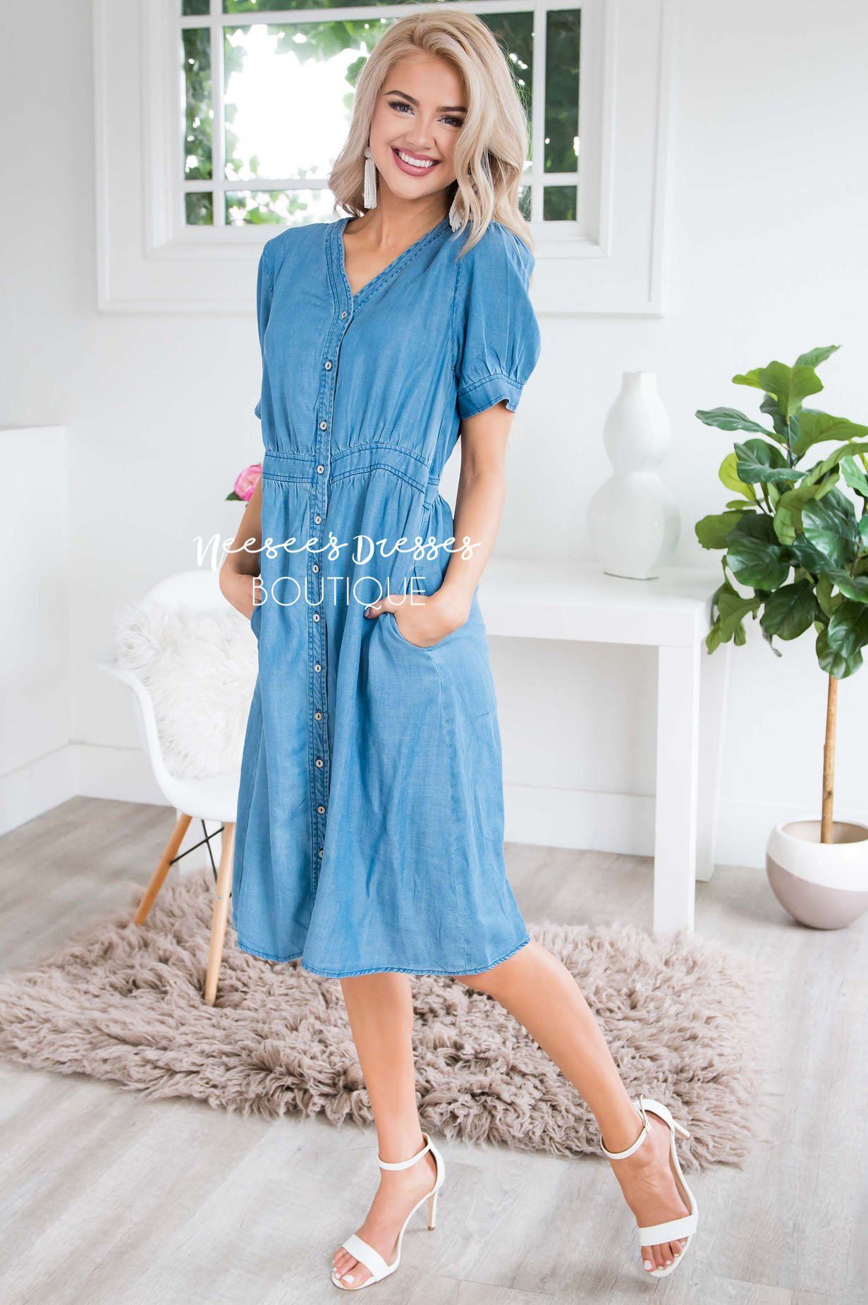 The Savannah Denim Dress